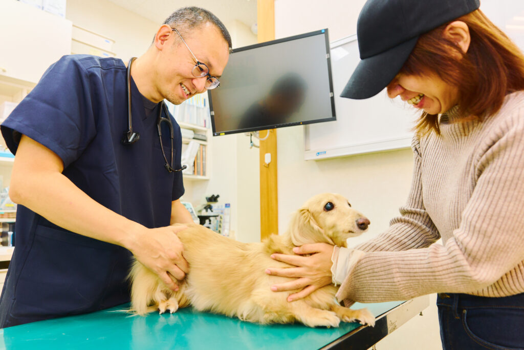 椎名獣医師が診察する様子