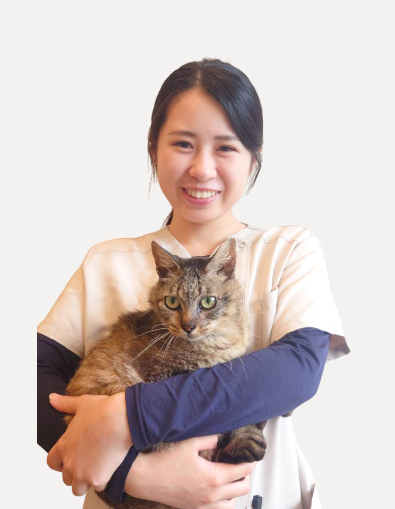 白波瀬真愛　愛玩動物看護師